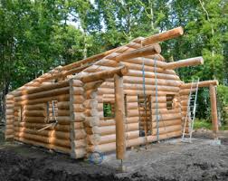 chalet en rondin kit