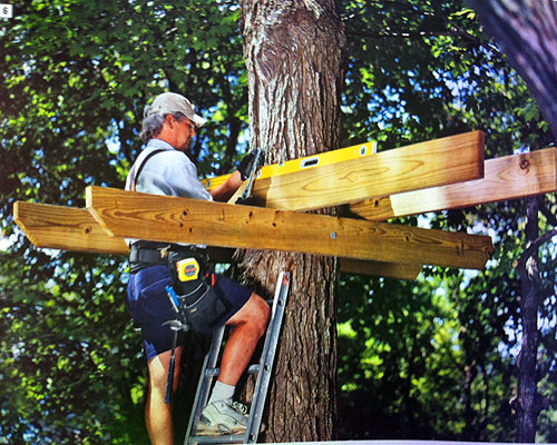 cabane en bois dans les arbres en kit