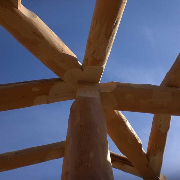 kit maison en bois rond