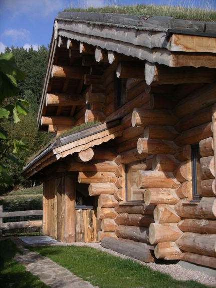 maison en rondin en kit