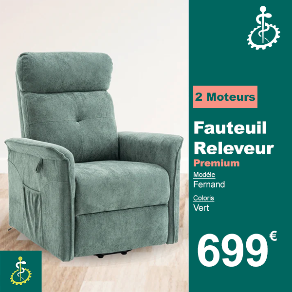 fauteuil releveur 2 moteurs conforama